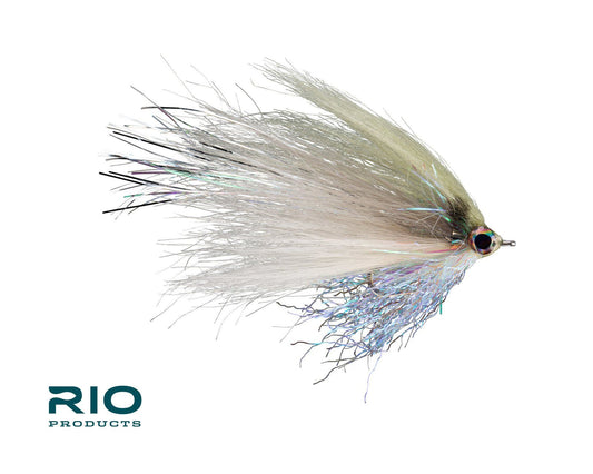 RIO's Flashdance - Shad