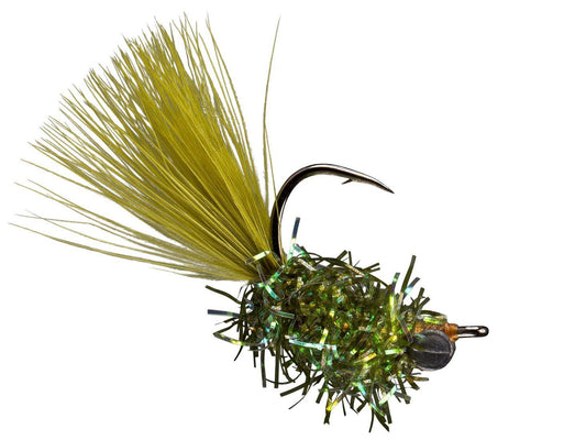 Carp Cupcake - Olive