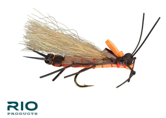 RIO's Juicy Stone - Salmon