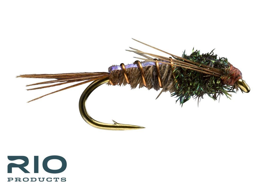 RIO Pheasant Tail Flashback