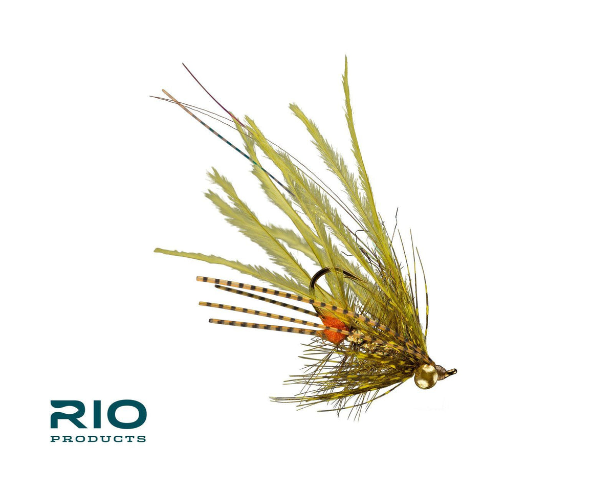 RIO's Pocket Rocket - Olive