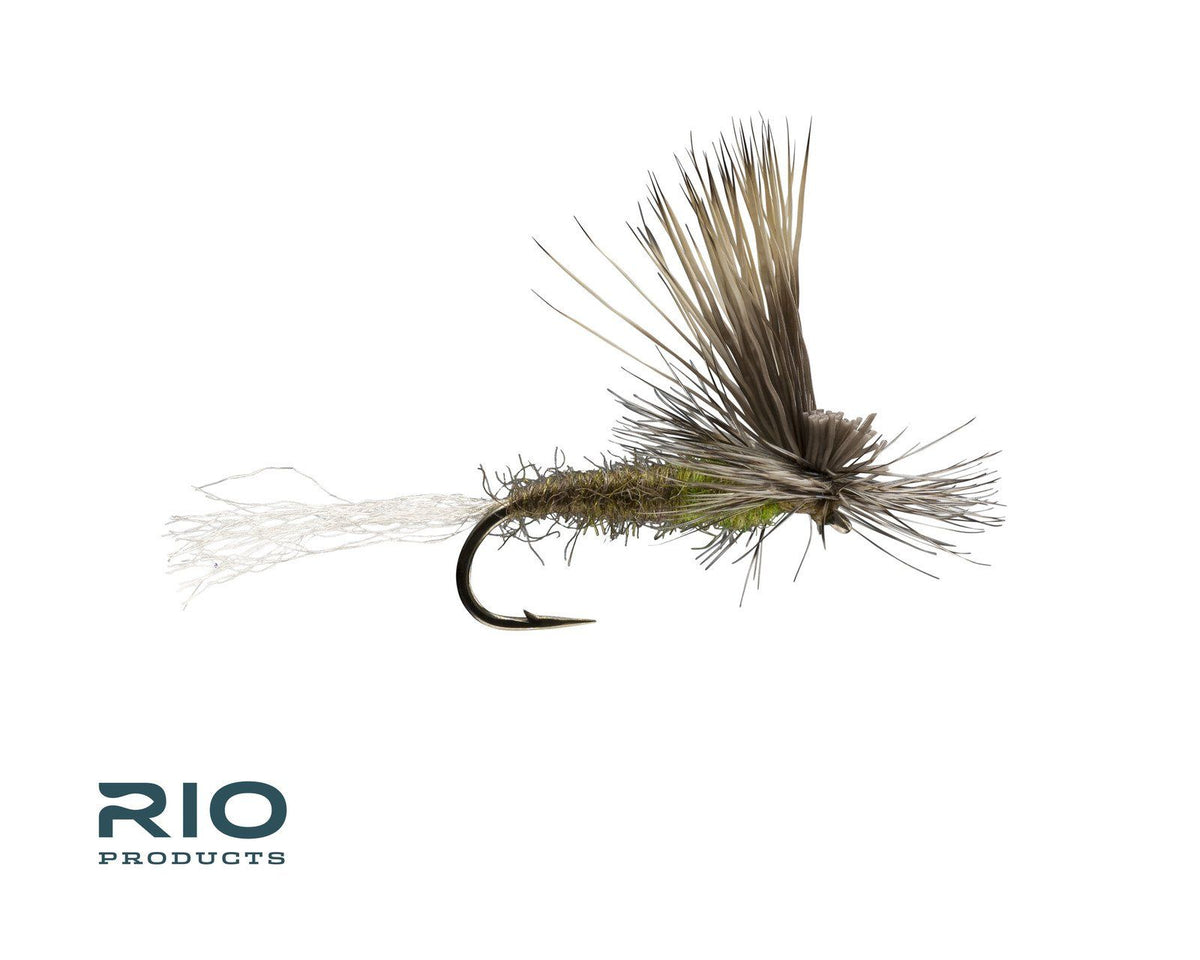 RIO's E/C Caddis - Olive