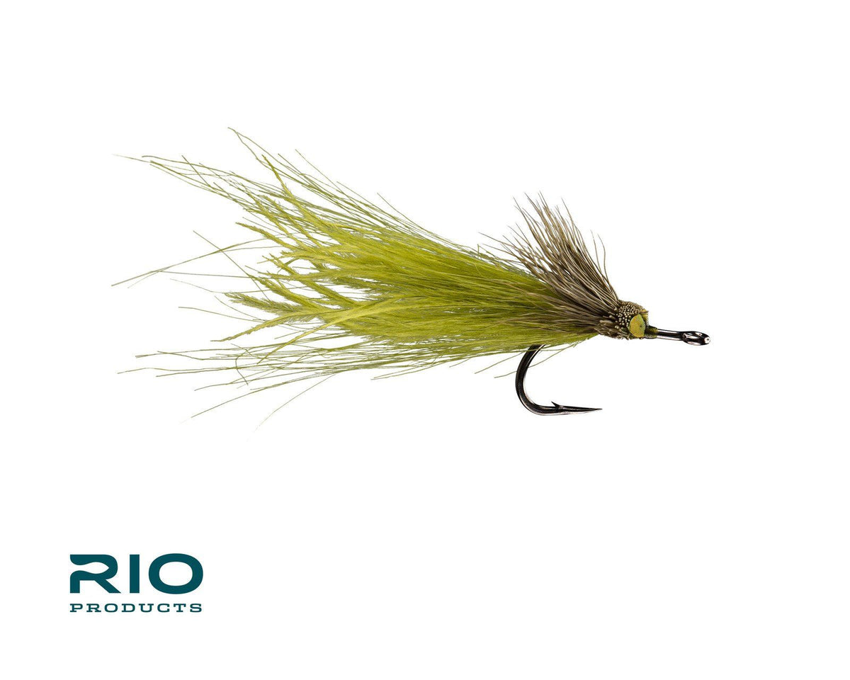 RIO's Dread Pirate - Olive 1/0