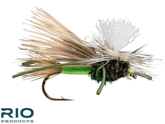RIO Parachute Madam X - Lime