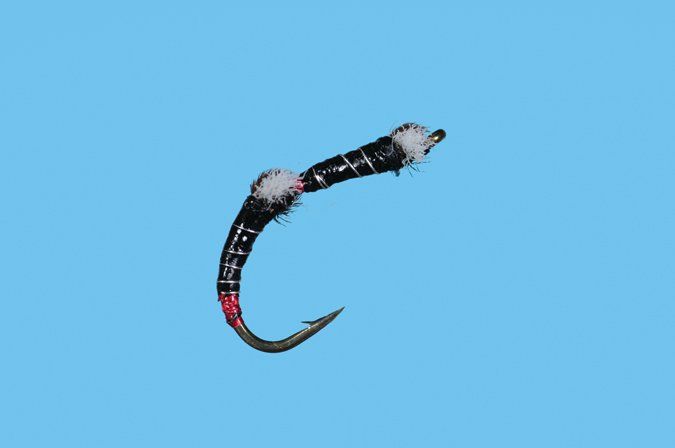 Double Gills Chironomid - Black