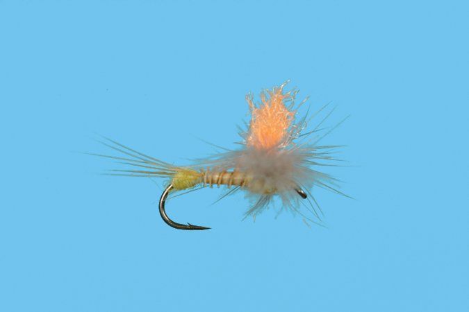 Hi Vis Spinner PMD