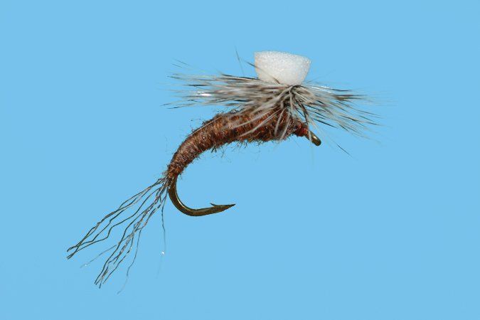 Brooks Sprout Callibaetis