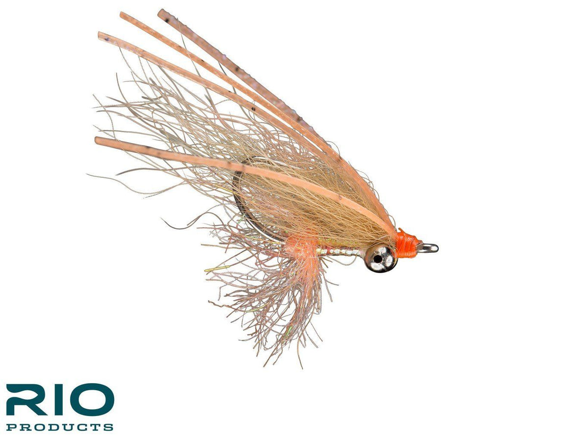 Arctic Bone Spawning Shrimp