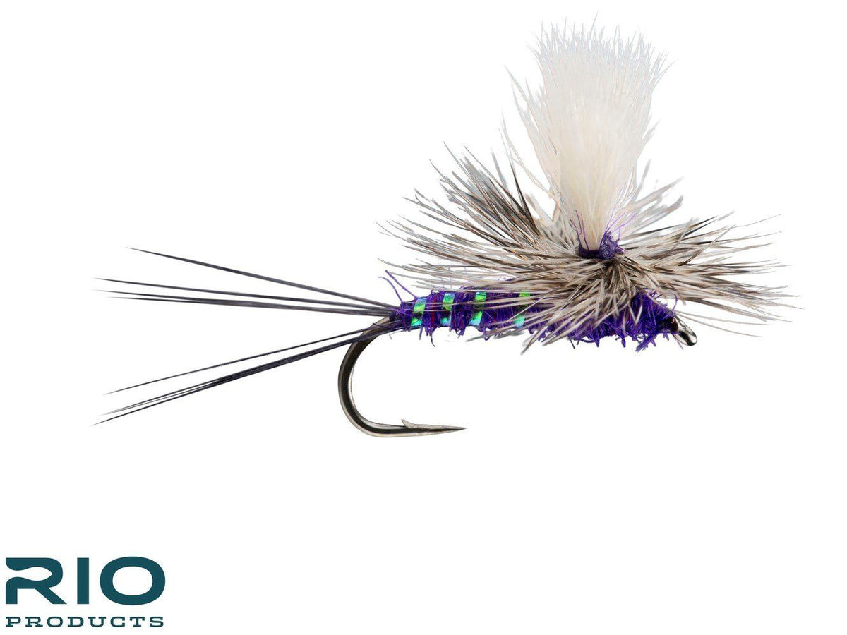 RIO Para Wulff - Purple #18