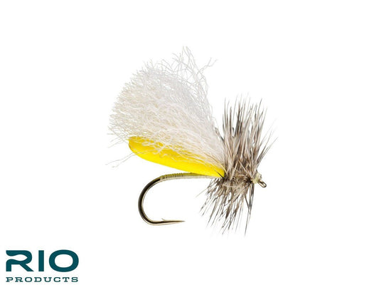 RIO's Foam Run Caddis - Yellow