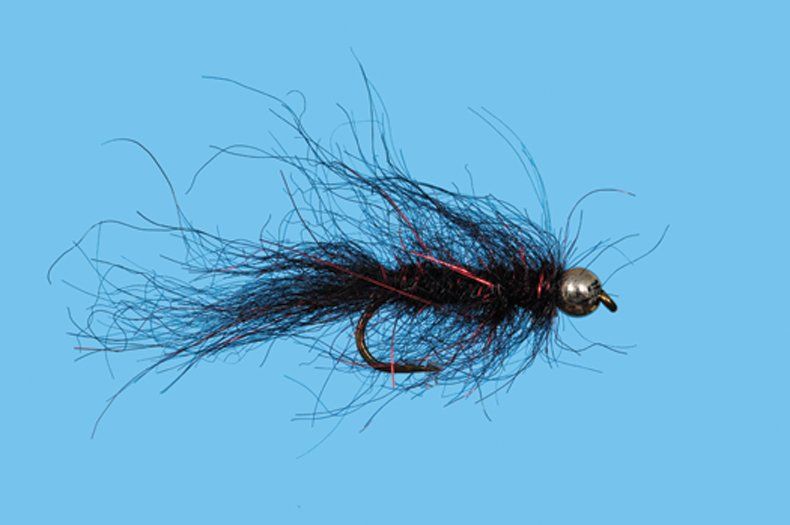 BH Simi Seal Leech - Black/Red