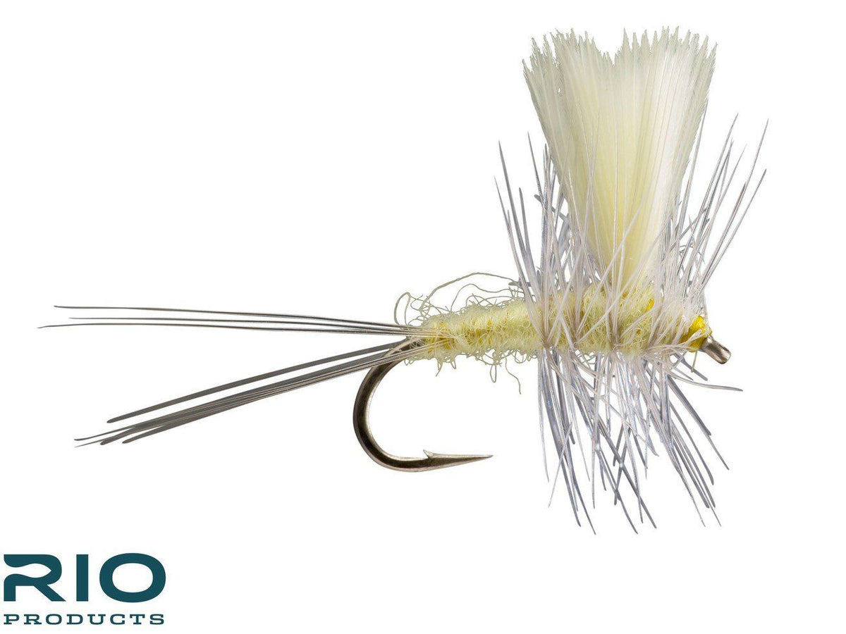 RIO Thorax - PMD