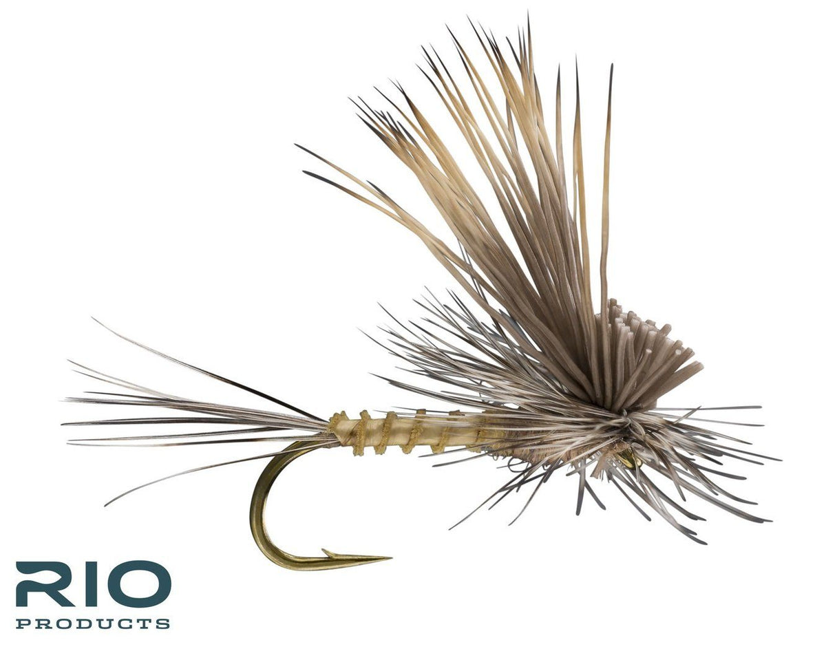 RIO's Tilt Wing Dun - Callibaetis