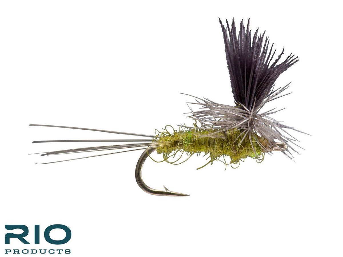 Rio Parachute - Baetis