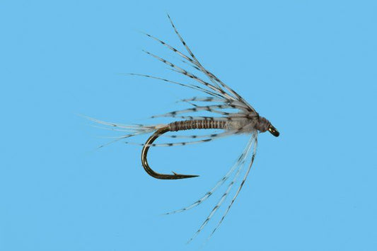Soft Hackle - Callibaetis