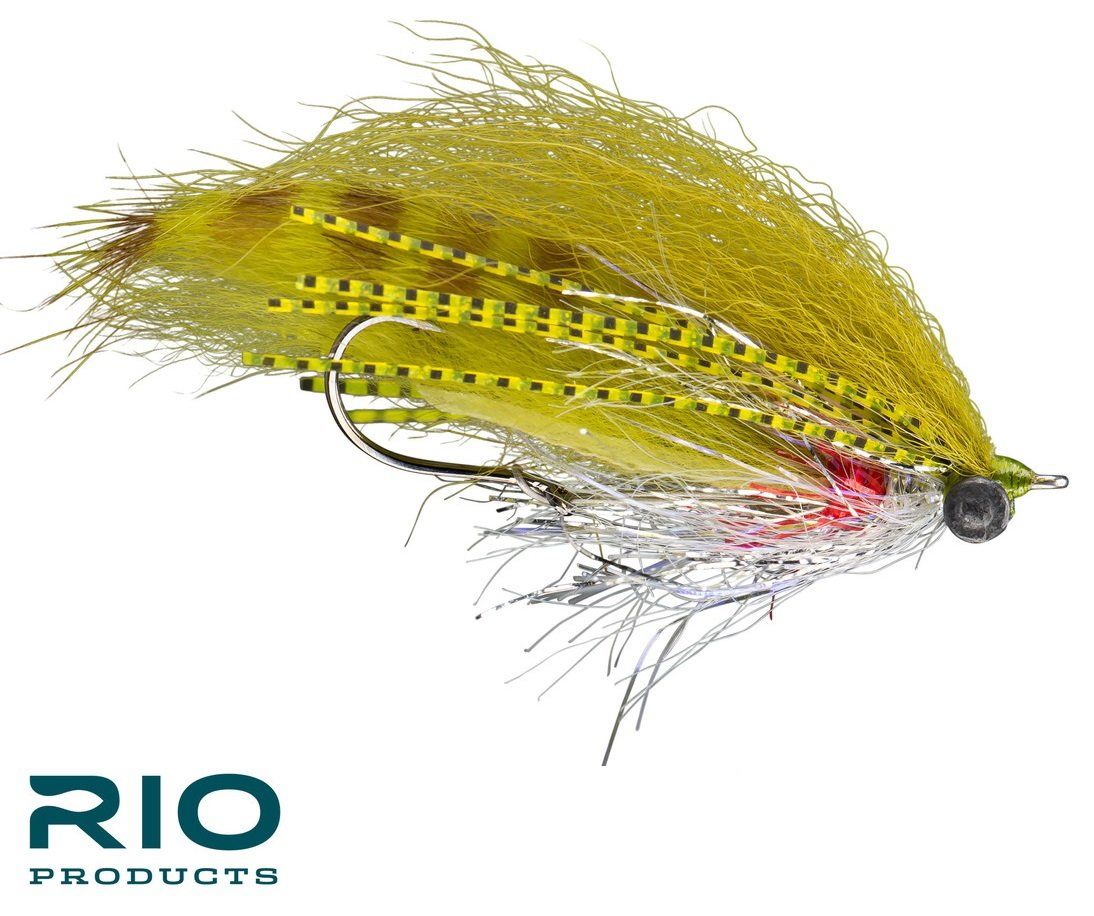 RIO's Extrovert - Olive