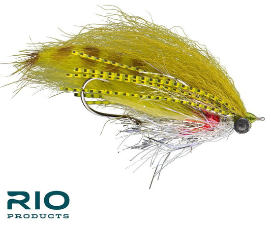 RIO's Extrovert - Olive