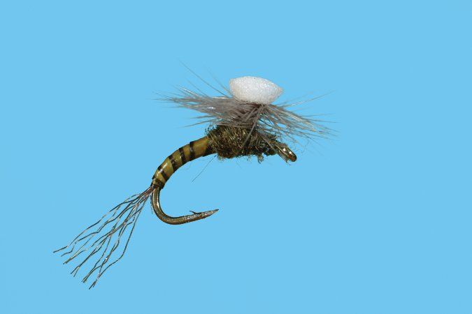 Brook's Sprout Baetis - BWO