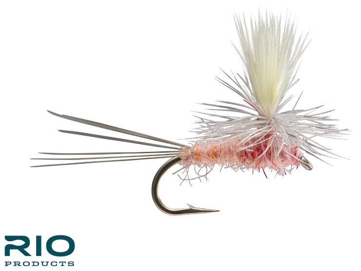 RIO Parachute Pink