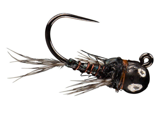 Morrish Sparkle Donkey TB - Black