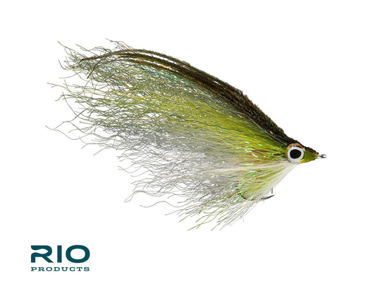 RIO's Student Loan - Olive