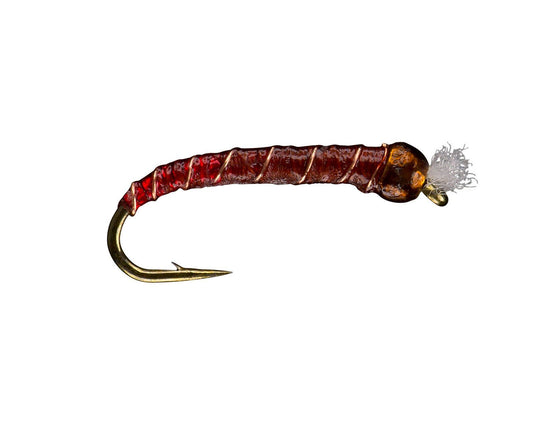 RIO's Red Assassin - Brown Copper Brown