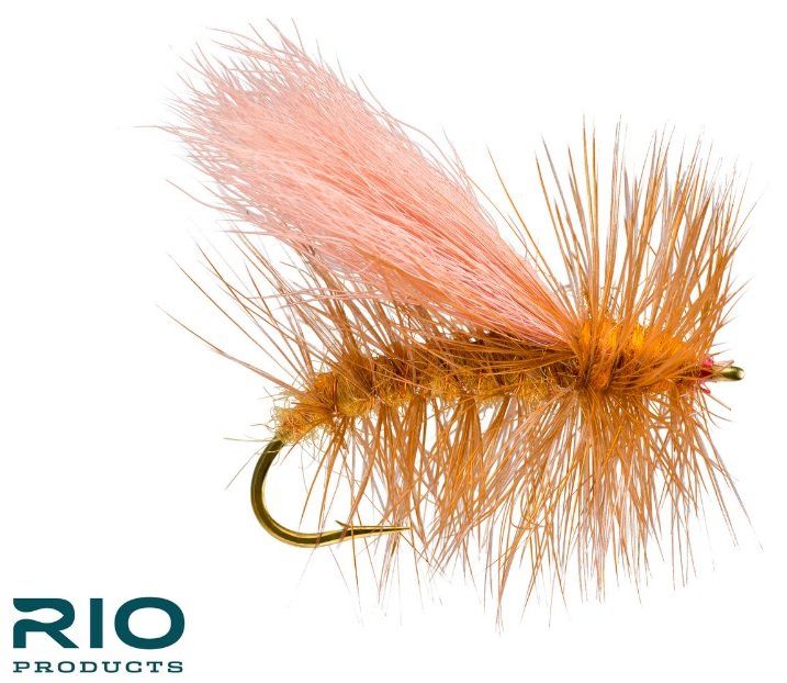 RIO Norm Wood Special