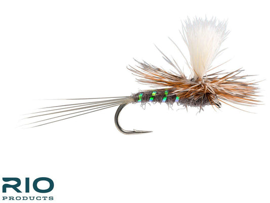 RIO Para Wulff - Adams