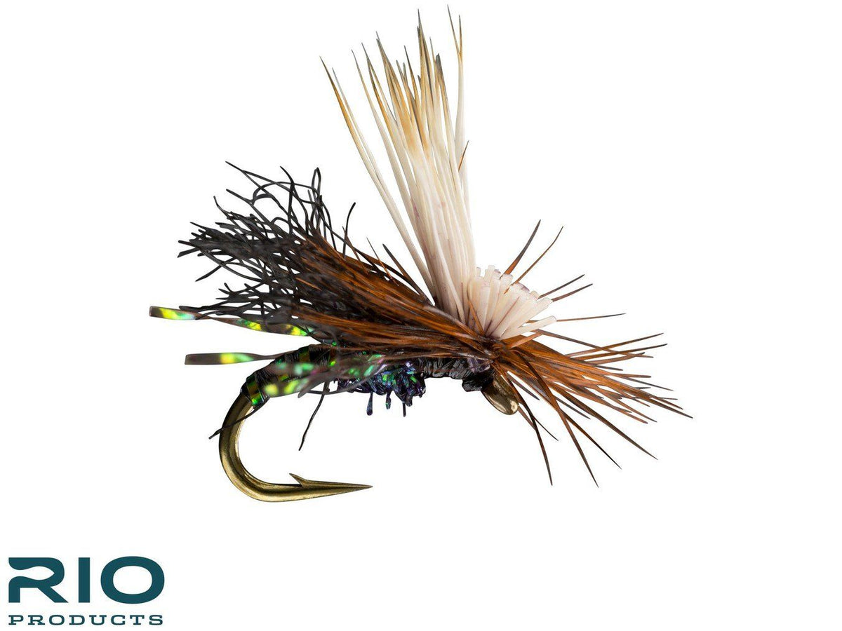 RIO's Body Double Caddis - Black