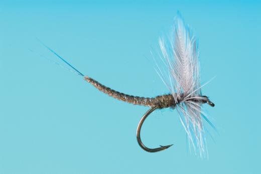 Blue Wing Olive - Ext Dun
