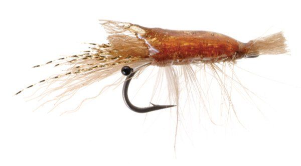 Ultra Shrimp - Tan