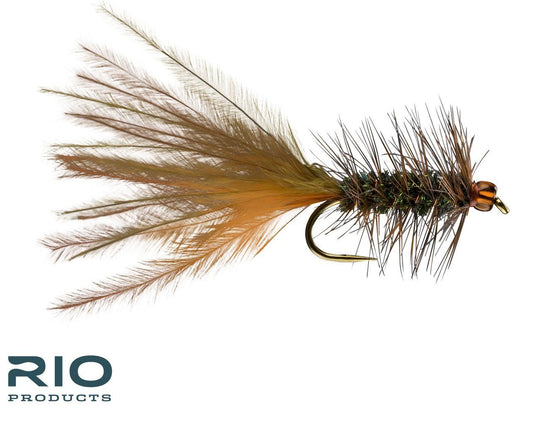 RIO's Brunette Leech - Brown