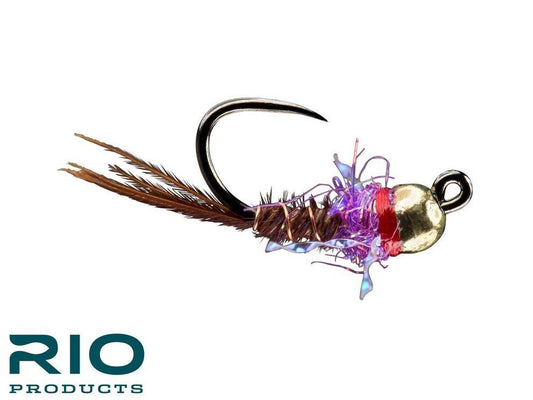 RIO's French Dip - Gold Bead/Purple
