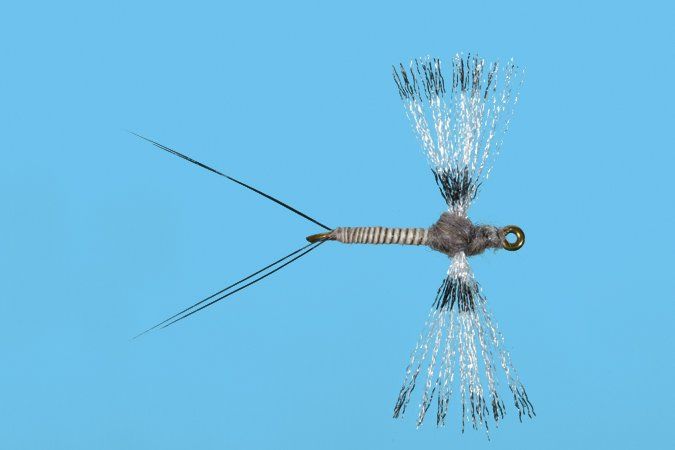 Organza Callibaetis Spinner