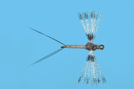 Organza Callibaetis Spinner