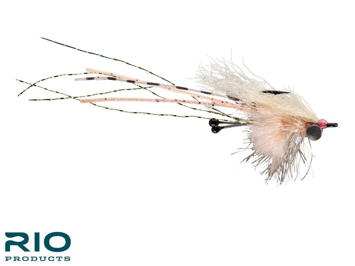 Carpet Shrimp - Pink