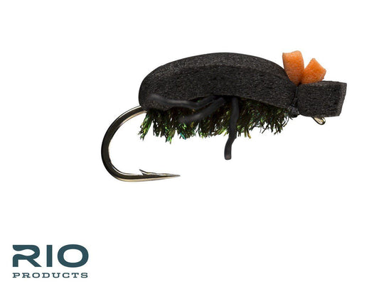 RIO Foam Beetle
