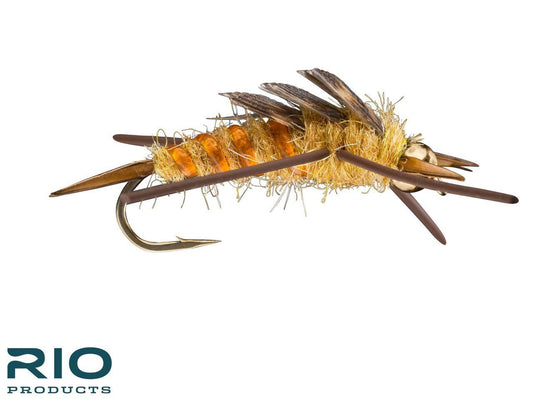 RIO Rubber Legs Stonefly Bead - Gold