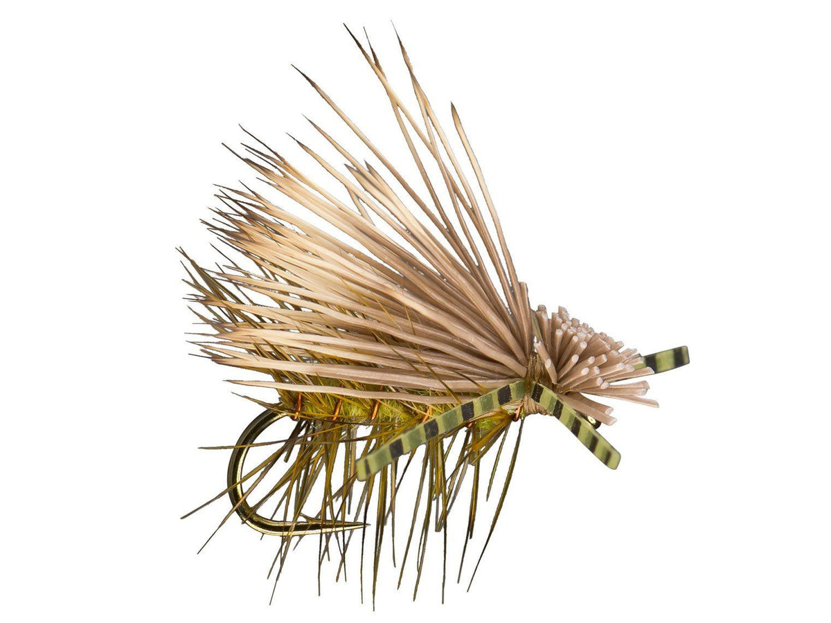 Elk Hair Caddis Rubber Leg - Olive