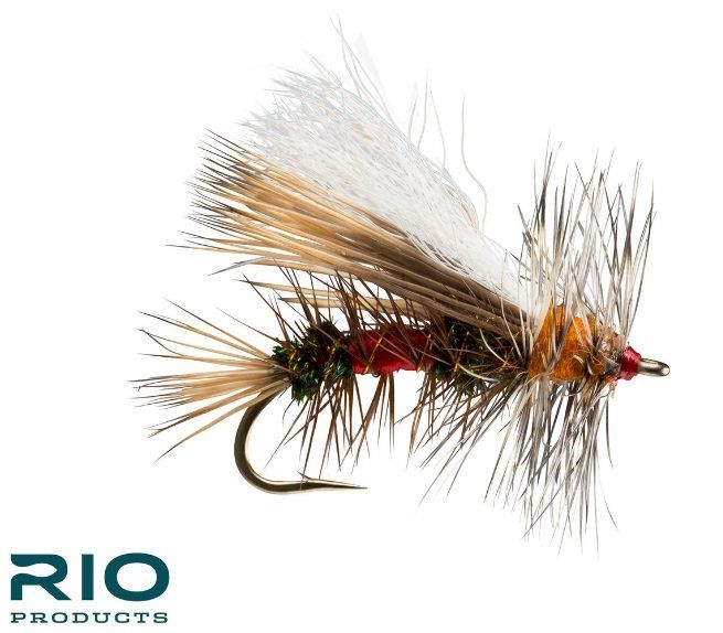 RIO Stimulator - Royal