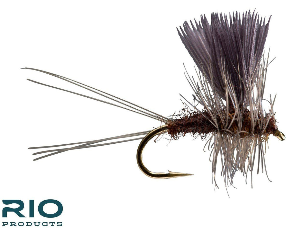 RIO Thorax - Mahogany
