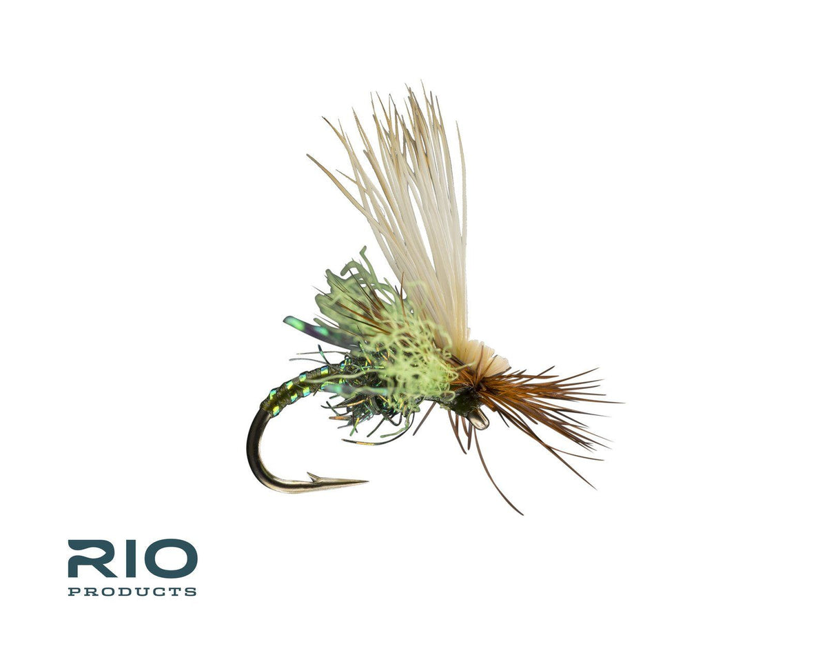 RIO's Body Double Caddis - Olive