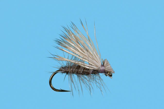 Elk Hair Caddis