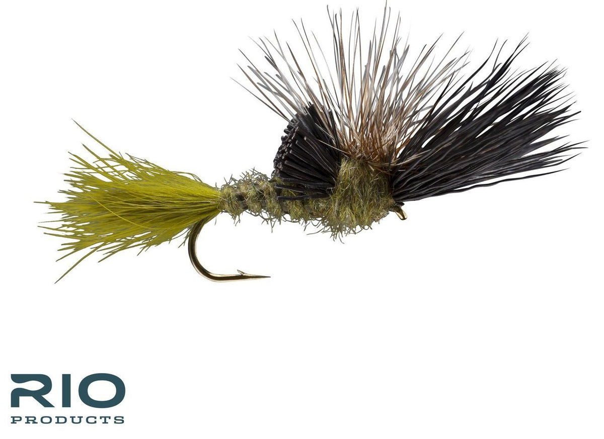 RIO's Victory Drake - #10 Green
