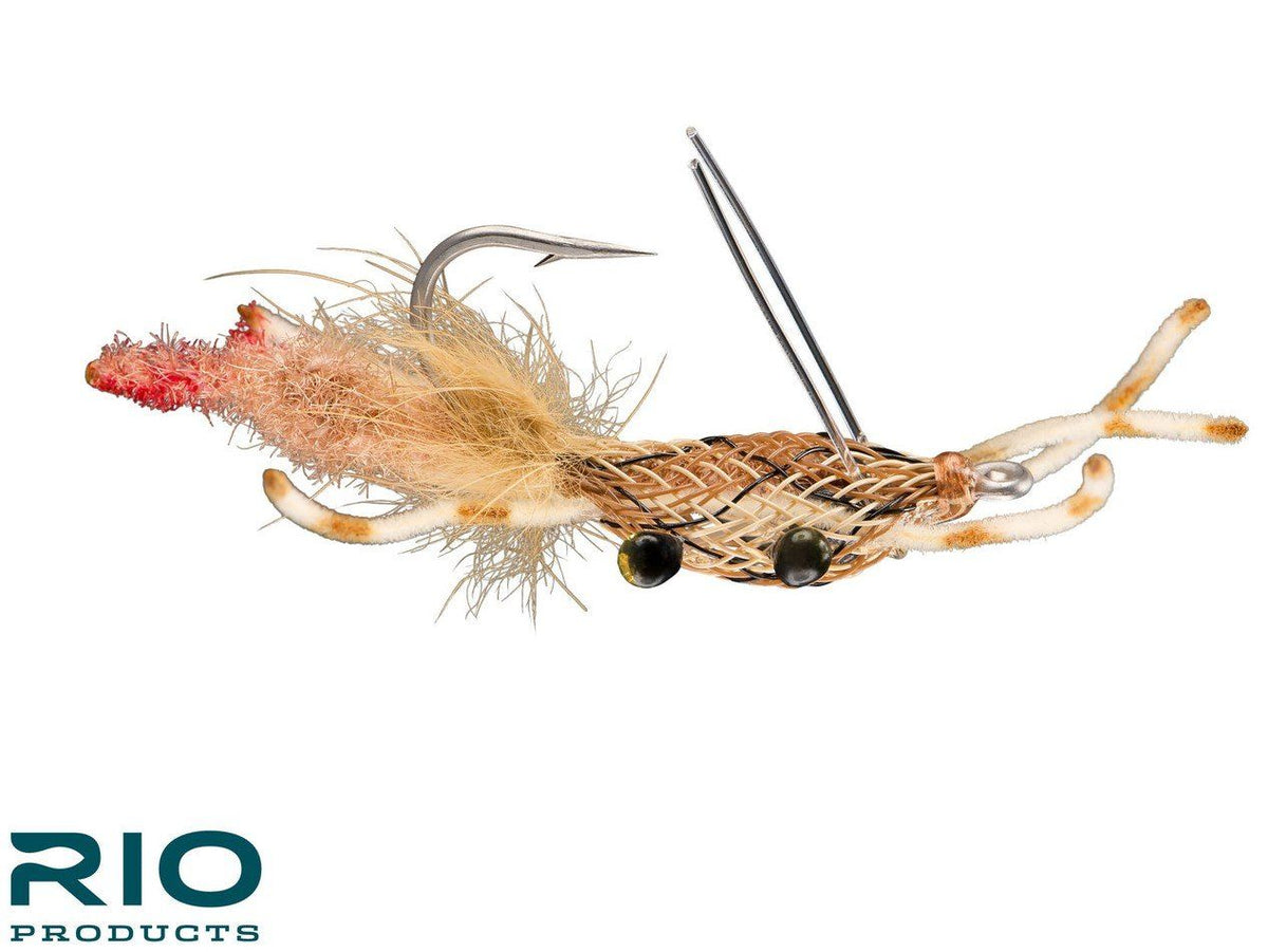 RIO's Fiddler on the Reef - Camo #1