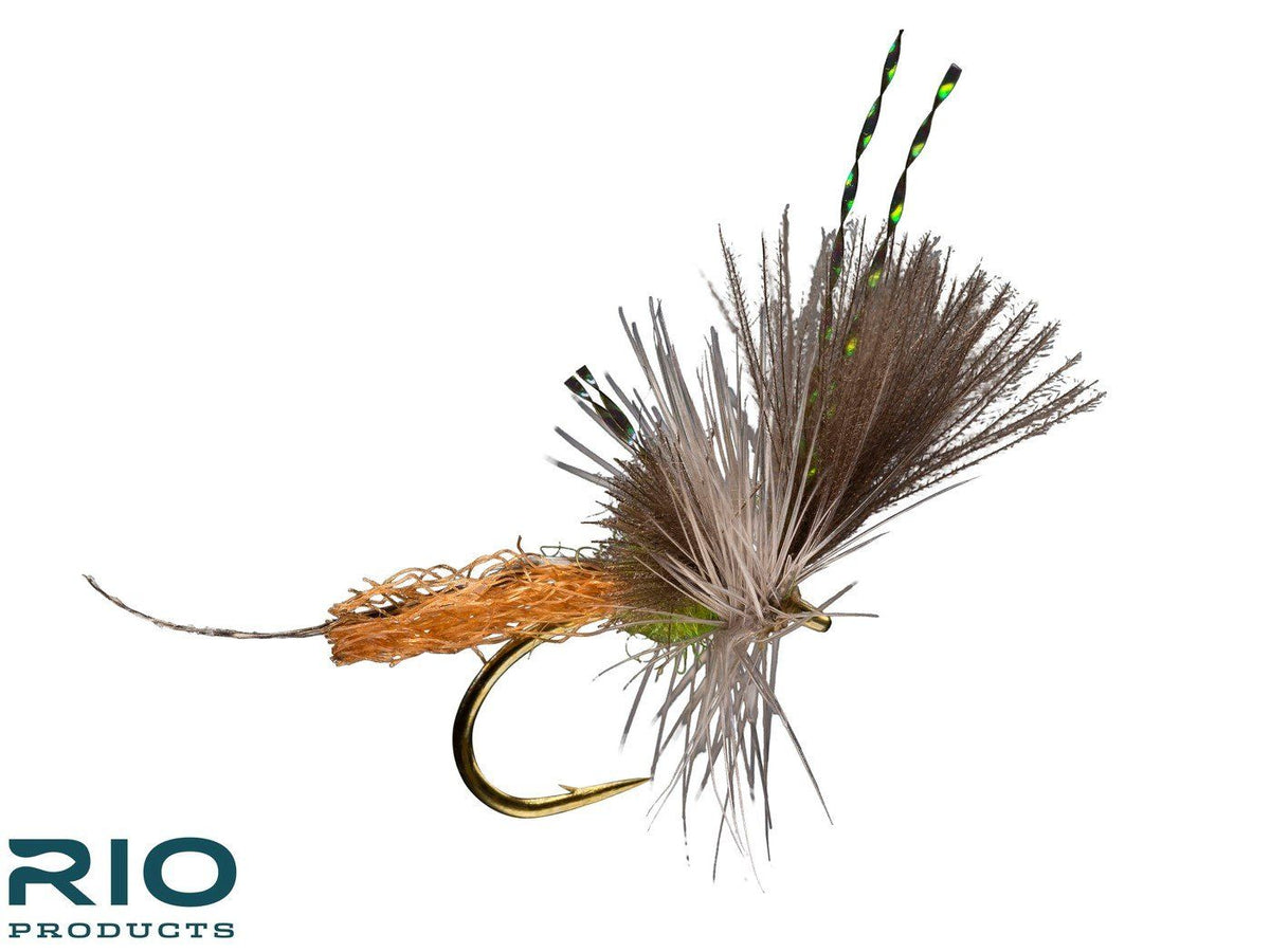 RIO Extendo - BWO
