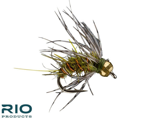 RIO Soft Hackle TB - Olive