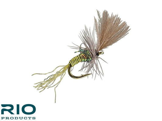 RIO Micro CDC Cripple - Olive #22