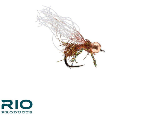 RIO's Any Raid TB - Cinnamon