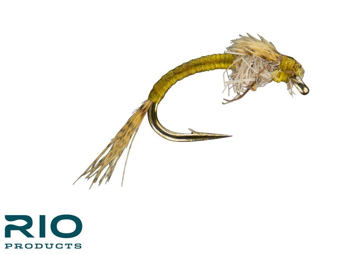 RIO WD 40 - Olive